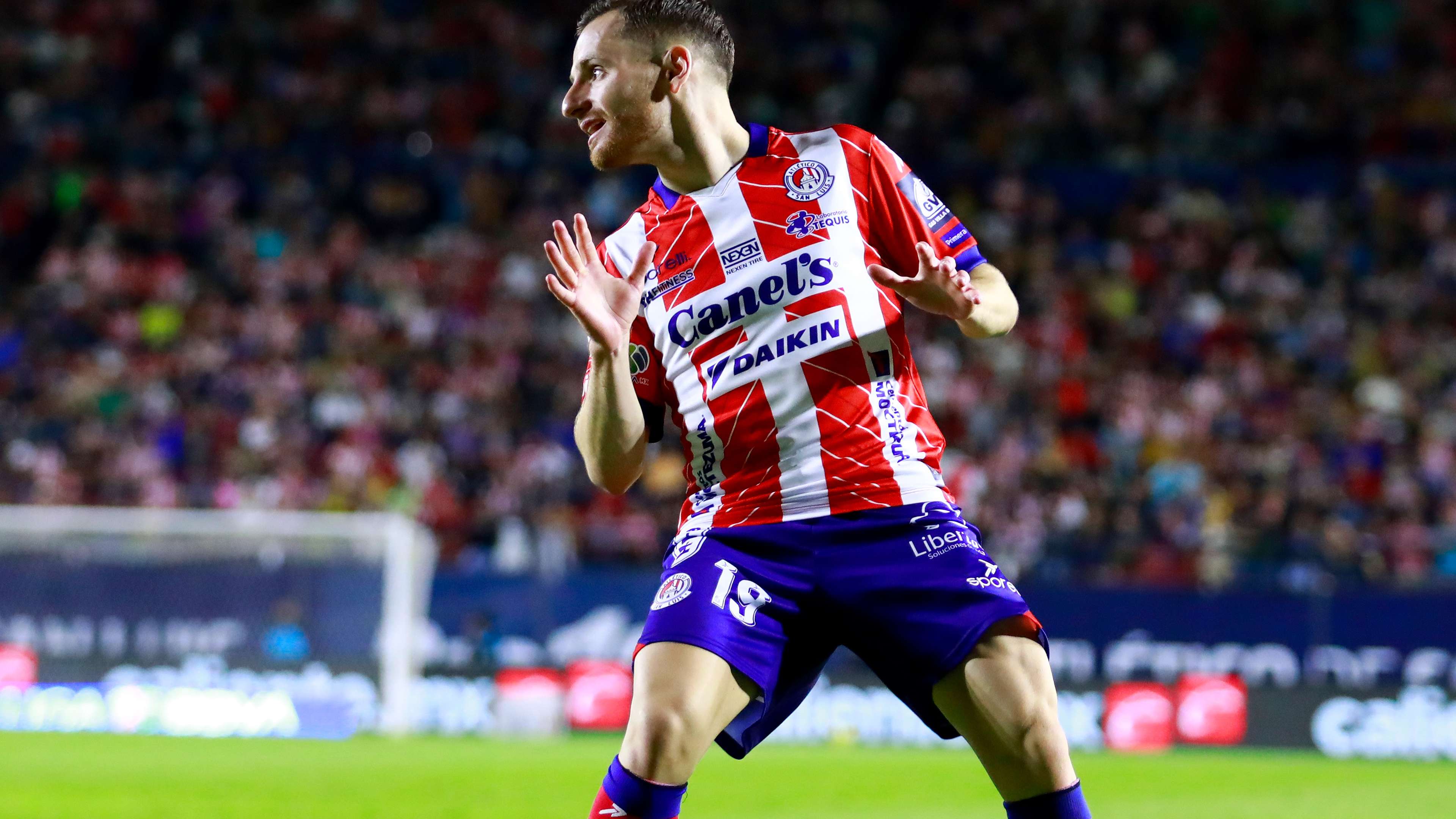 雪上飞人 雪上飞人